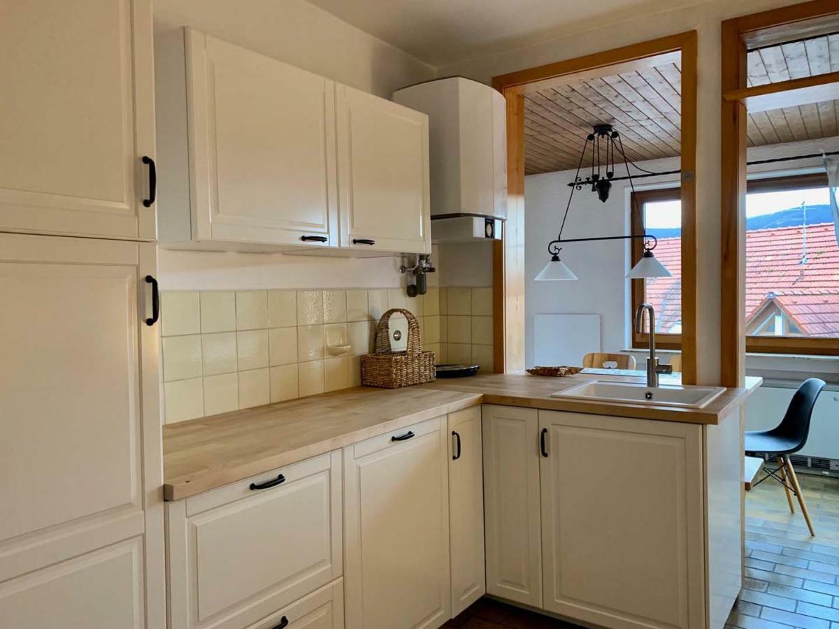 Deluxe Business City Apartments Metzingen Villa Landenberger Екстер'єр фото