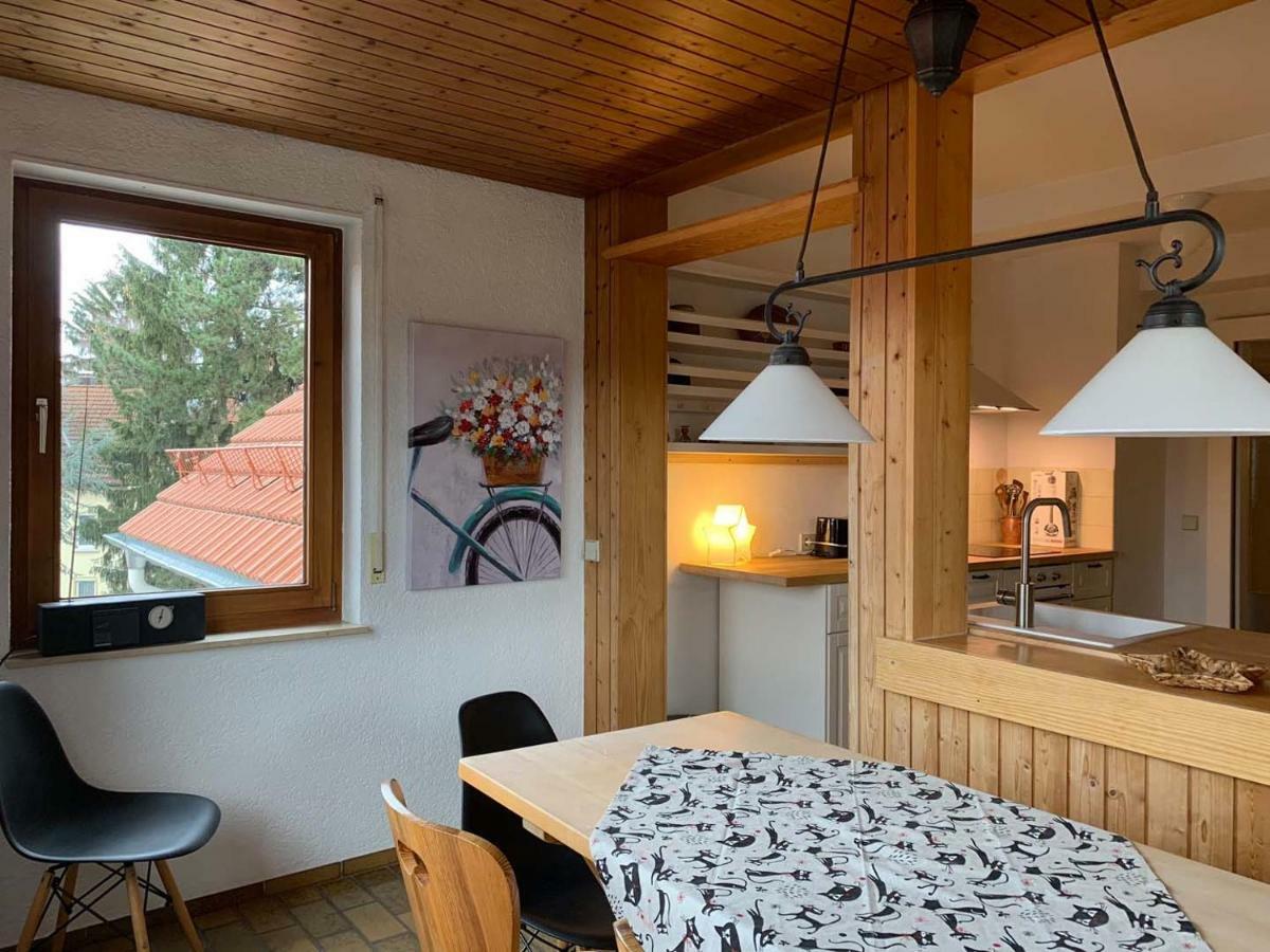 Deluxe Business City Apartments Metzingen Villa Landenberger Екстер'єр фото