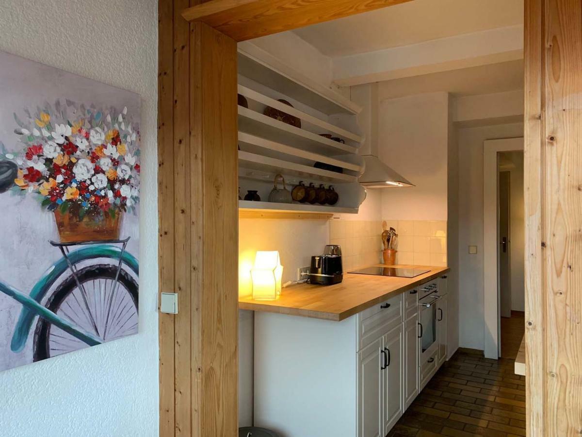 Deluxe Business City Apartments Metzingen Villa Landenberger Екстер'єр фото