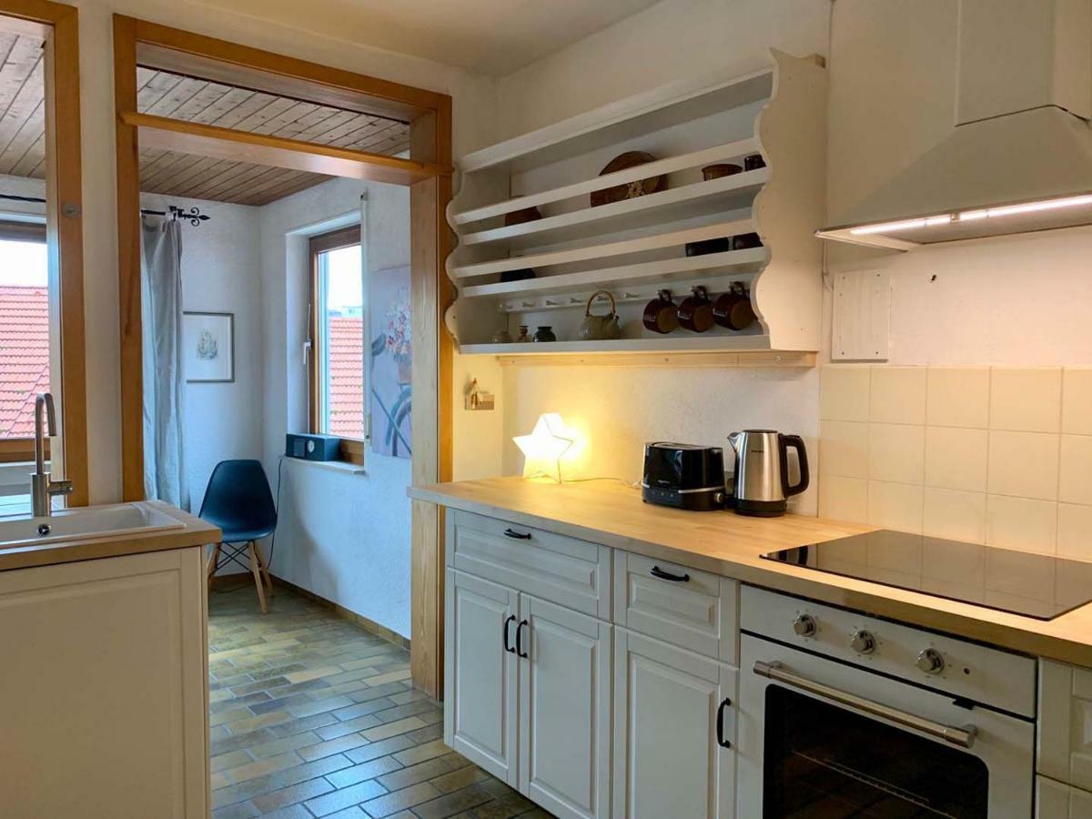 Deluxe Business City Apartments Metzingen Villa Landenberger Екстер'єр фото