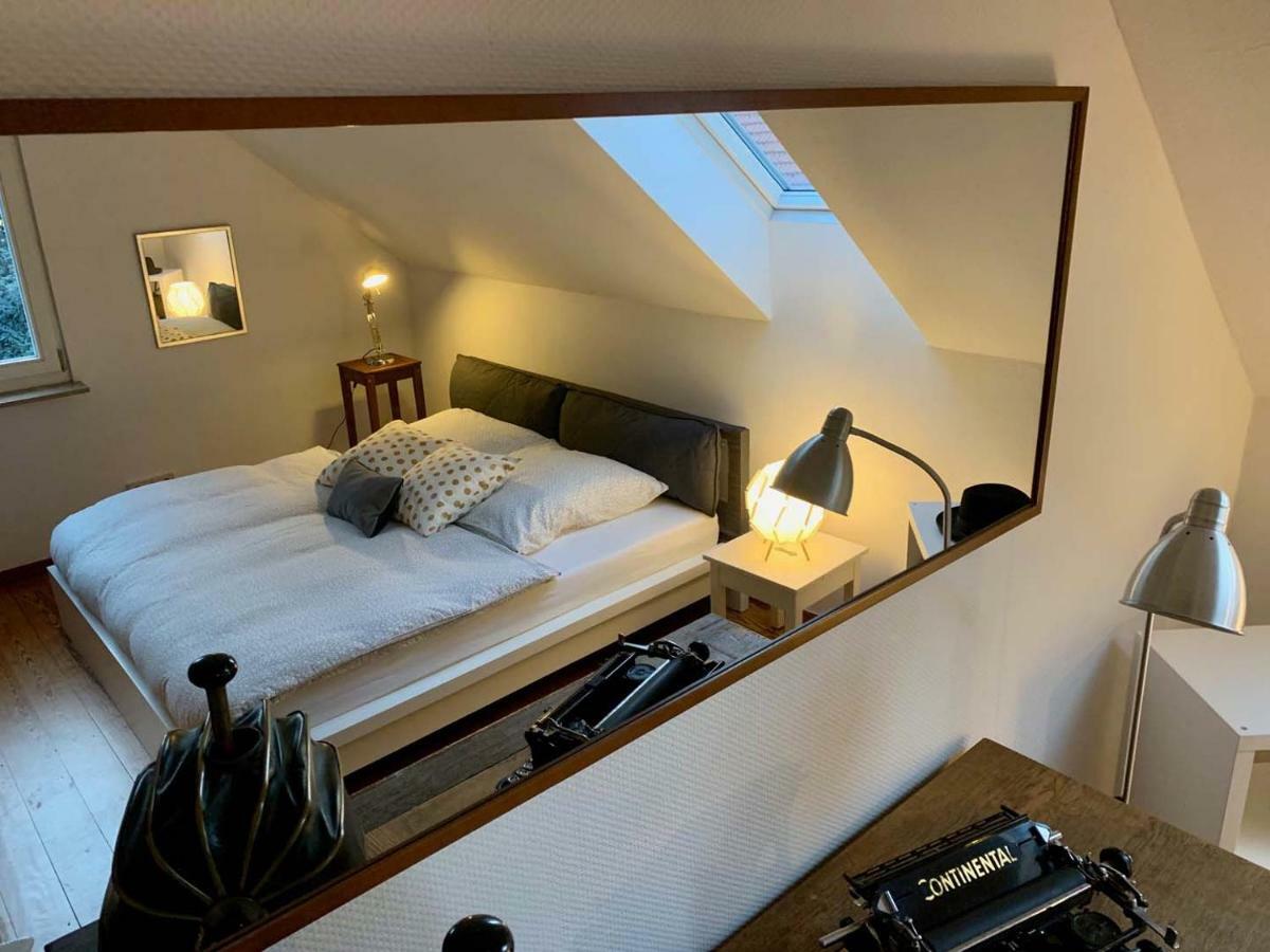 Deluxe Business City Apartments Metzingen Villa Landenberger Екстер'єр фото