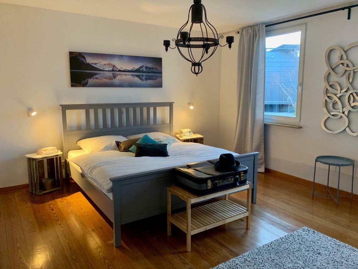 Deluxe Business City Apartments Metzingen Villa Landenberger Екстер'єр фото