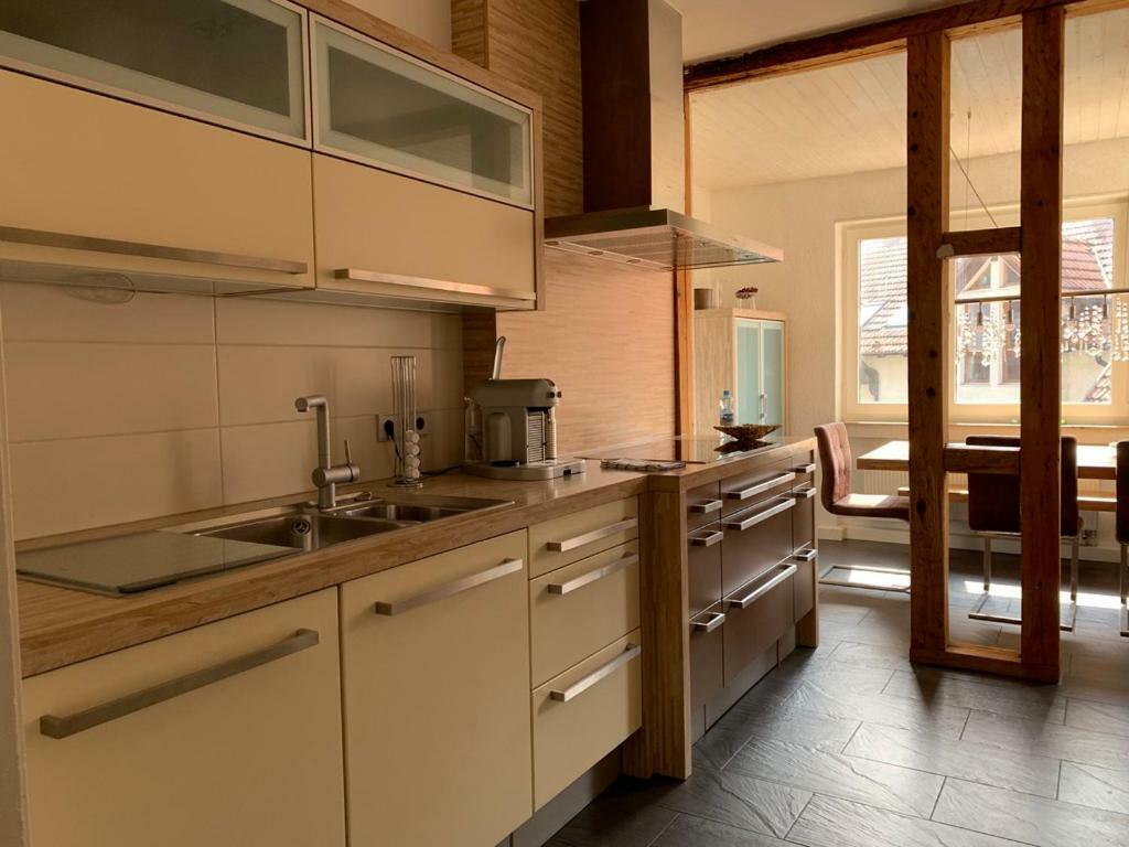 Deluxe Business City Apartments Metzingen Villa Landenberger Екстер'єр фото