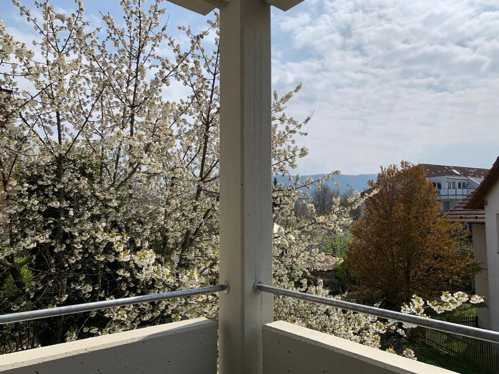 Deluxe Business City Apartments Metzingen Villa Landenberger Екстер'єр фото
